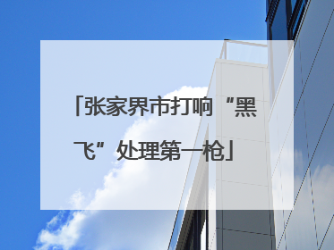 张家界市打响“黑飞”处理第一枪