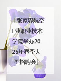 张家界航空工业职业技术学院举办2025年春季大型招聘会