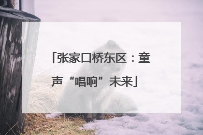张家口桥东区：童声“唱响”未来