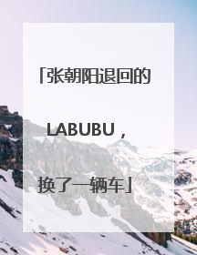 张朝阳退回的LABUBU，换了一辆车