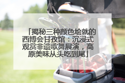 揭秘三种颜色绘就的西博会甘孜馆：沉浸式观赏非遗歌舞展演，高原美味从头吃到尾
