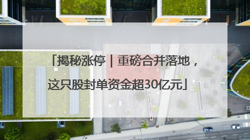 揭秘涨停｜重磅合并落地，这只股封单资金超30亿元