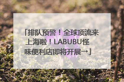排队预警！全球顶流来上海啦！LABUBU怪味便利店即将开展→