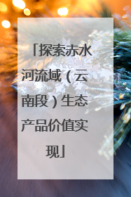 探索赤水河流域（云南段）生态产品价值实现