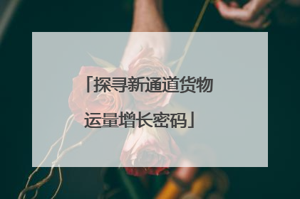探寻新通道货物运量增长密码