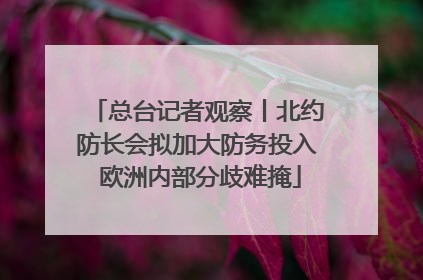 总台记者观察丨北约防长会拟加大防务投入 欧洲内部分歧难掩