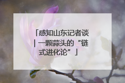 感知山东记者谈｜一颗蒜头的“链式进化论”
