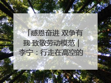 感恩奋进 双争有我·致敬劳动模范｜李宁：行走在高空的“电网卫士”