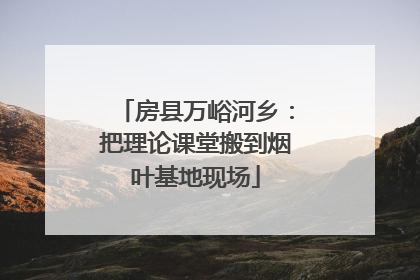 房县万峪河乡：把理论课堂搬到烟叶基地现场