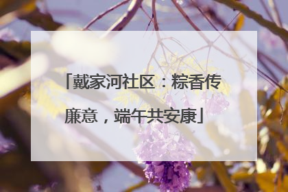 戴家河社区：粽香传廉意，端午共安康