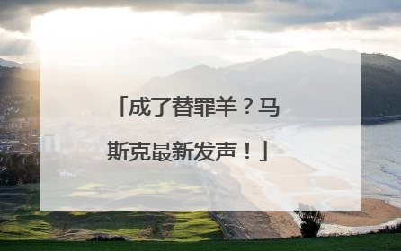 成了替罪羊？马斯克最新发声！