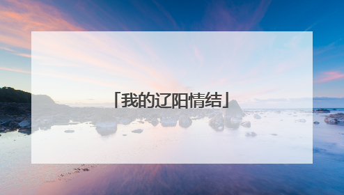 我的辽阳情结