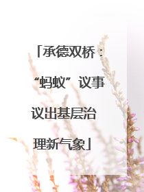 承德双桥：“蚂蚁”议事 议出基层治理新气象