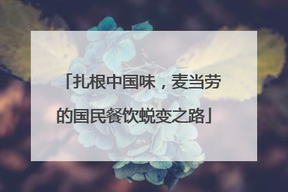 扎根中国味，麦当劳的国民餐饮蜕变之路