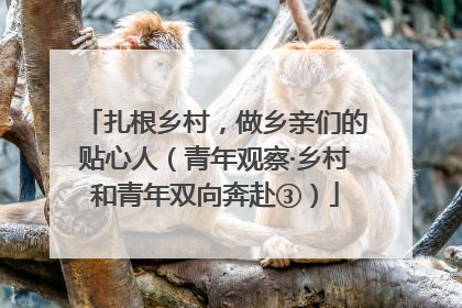 扎根乡村，做乡亲们的贴心人（青年观察·乡村和青年双向奔赴③）