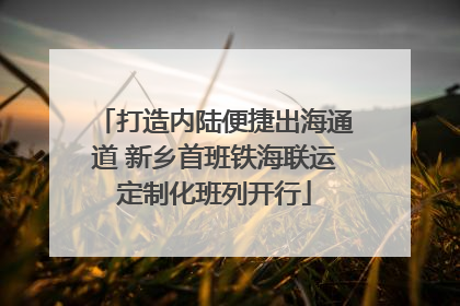 打造内陆便捷出海通道 新乡首班铁海联运定制化班列开行