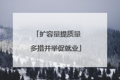 扩容量提质量 多措并举促就业