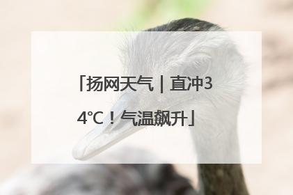 扬网天气｜直冲34℃！气温飙升
