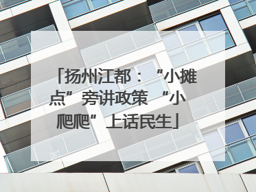 扬州江都：“小摊点”旁讲政策 “小爬爬”上话民生