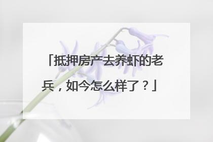 抵押房产去养虾的老兵，如今怎么样了？