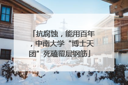 抗腐蚀，能用百年，中南大学“博士天团”死磕覆层钢筋