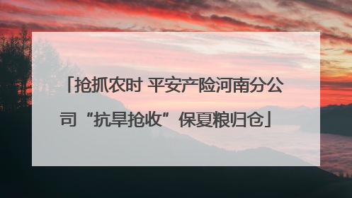 抢抓农时 平安产险河南分公司“抗旱抢收”保夏粮归仓