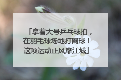 拿着大号乒乓球拍，在羽毛球场地打网球！这项运动正风靡江城