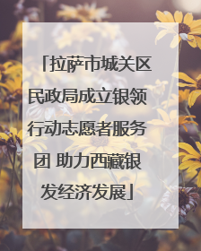拉萨市城关区民政局成立银领行动志愿者服务团 助力西藏银发经济发展
