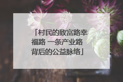 村民的致富路幸福路 一条产业路背后的公益脉络