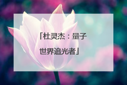 杜灵杰：量子世界追光者
