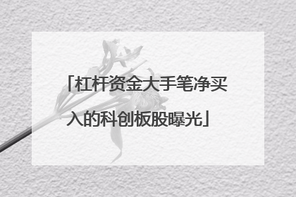 杠杆资金大手笔净买入的科创板股曝光