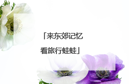 来东郊记忆 看旅行蛙蛙