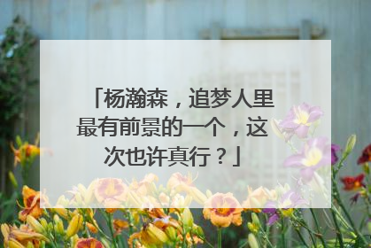 杨瀚森，追梦人里最有前景的一个，这次也许真行？
