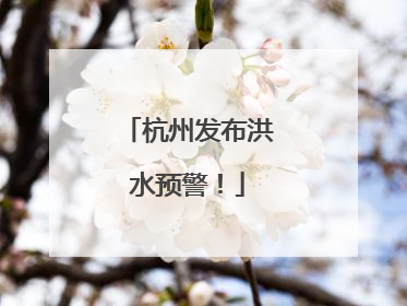 杭州发布洪水预警！