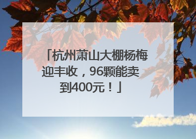 杭州萧山大棚杨梅迎丰收，96颗能卖到400元！