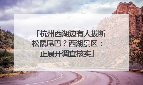 杭州西湖边有人拔断松鼠尾巴？西湖景区：正展开调查核实