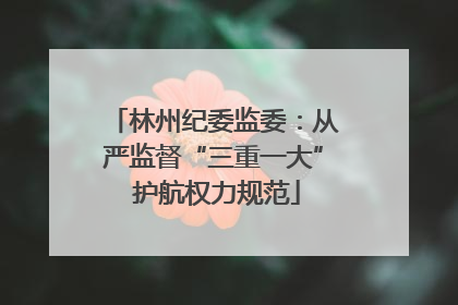 林州纪委监委：从严监督“三重一大” 护航权力规范
