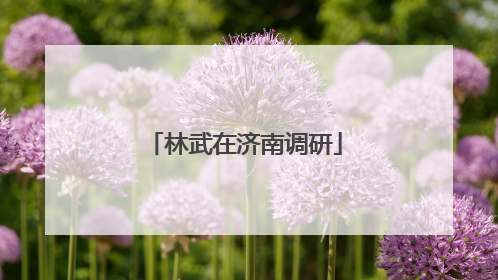 林武在济南调研