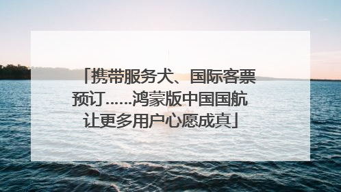 携带服务犬、国际客票预订……鸿蒙版中国国航让更多用户心愿成真