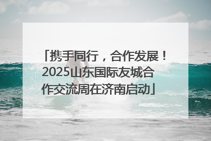 携手同行，合作发展！2025山东国际友城合作交流周在济南启动
