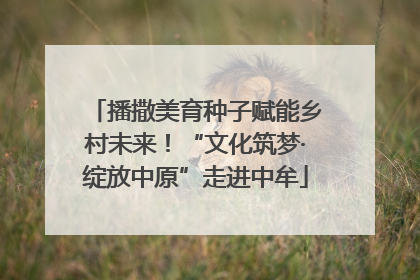 播撒美育种子赋能乡村未来！“文化筑梦·绽放中原”走进中牟