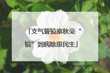 支气管镜察秋毫“镜”到病除惠民生