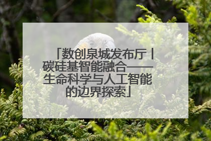 数创泉城发布厅丨碳硅基智能融合——生命科学与人工智能的边界探索