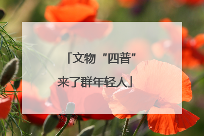 文物“四普”来了群年轻人