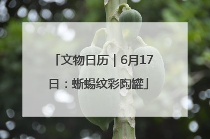 文物日历｜6月17日：蜥蜴纹彩陶罐
