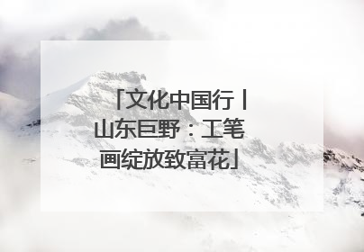 文化中国行丨山东巨野：工笔画绽放致富花