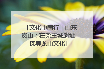 文化中国行｜山东岚山：在尧王城遗址探寻龙山文化