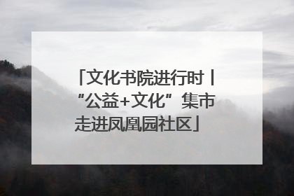 文化书院进行时丨“公益+文化”集市走进凤凰园社区