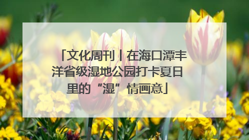 文化周刊丨在海口潭丰洋省级湿地公园打卡夏日里的“湿”情画意