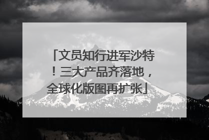 文员知行进军沙特！三大产品齐落地，全球化版图再扩张